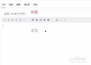 文章视频怎么发到头条上,制作概述与副标题指南