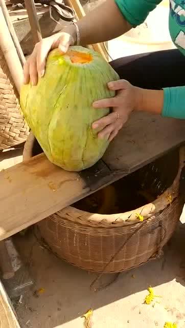 80后吃的长条瓜,那根长条瓜的甜蜜滋味