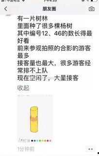 赞美网红妹妹的文案短句,青春风采令人陶醉