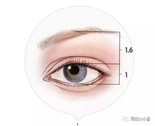 眉眼间距宽的明星,独特魅力与个性风采