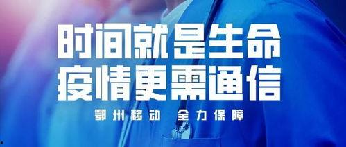 湖北鄂州头条疫情,多举措筑牢疫情防控防线