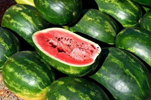图片吃瓜素材高清,揭秘吃瓜素材背后的视觉诱惑