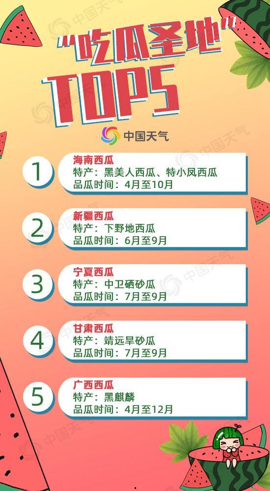 吃瓜宴会全文在线阅读,一场舌尖上的狂欢