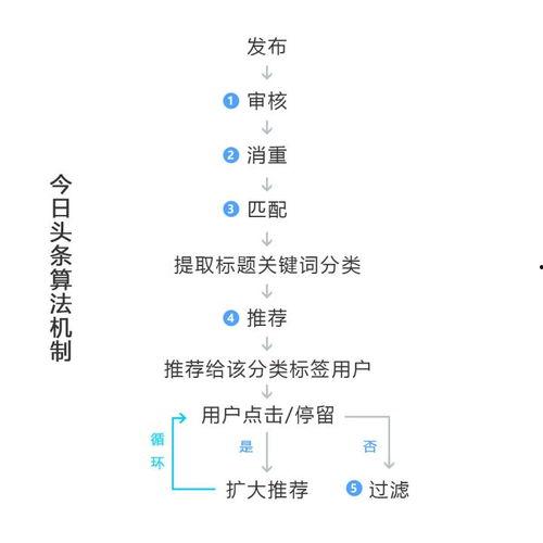 头条新媒体运作方式,高效内容运营与精准用户触达策略