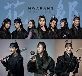 花郎在线观看,青春热血的传奇，在线观看的青春盛宴