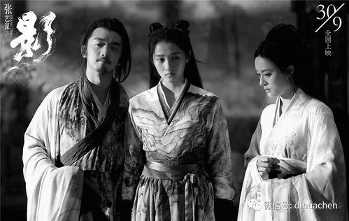 张艺谋电影在线观看,光影交织的艺术之旅