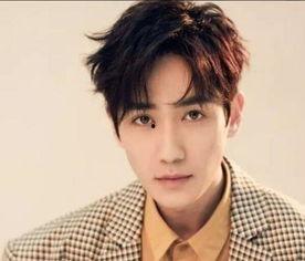 男生喜欢的男明星,揭秘男生心中的男明星偶像