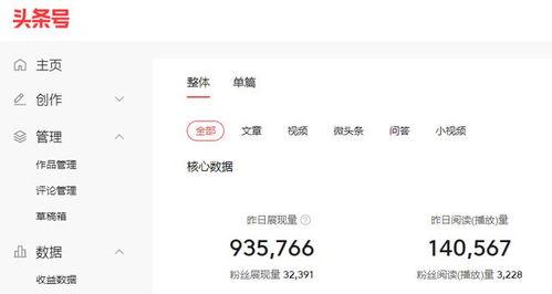要怎么看头条的收益,如何轻松查看与提升你的广告收入