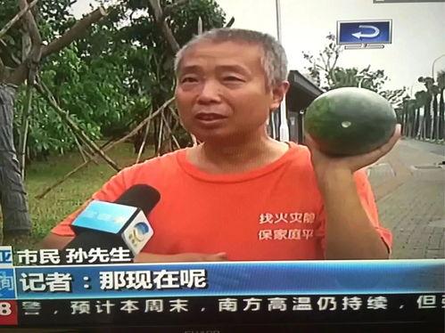 稠城吃瓜群众事件