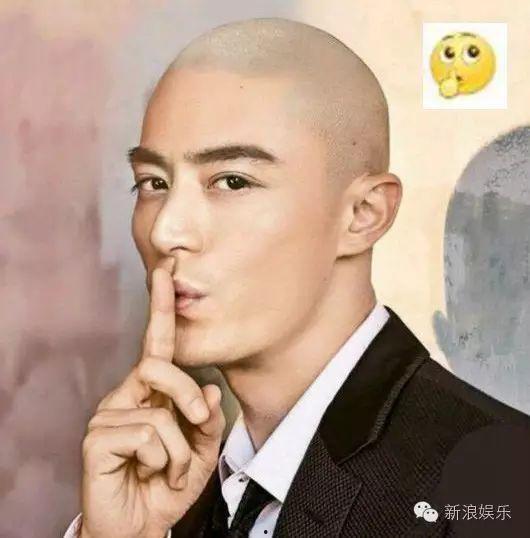 小尺寸明星表情,小尺寸明星的灵动表情瞬间