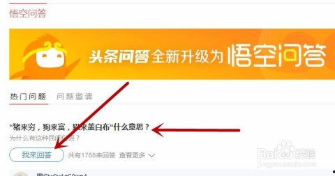 今日头条怎么问问题,如何高效提问获取精准信息