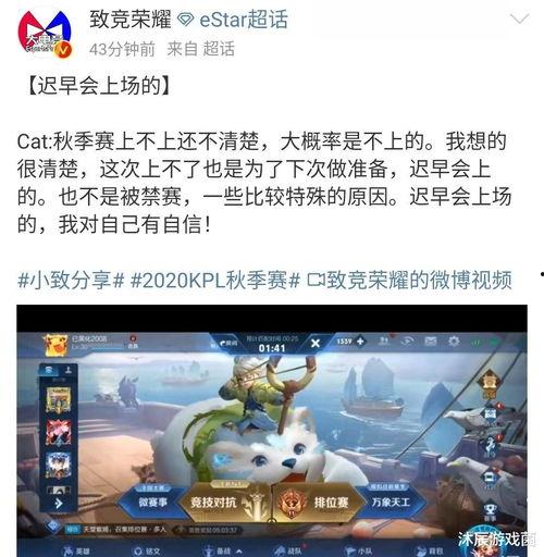 网曝黑料每日大赛在线,真相与谣言的较量