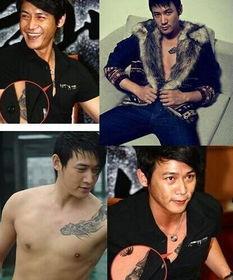 中国哪个明星有纹身,揭秘中国明星的个性印记